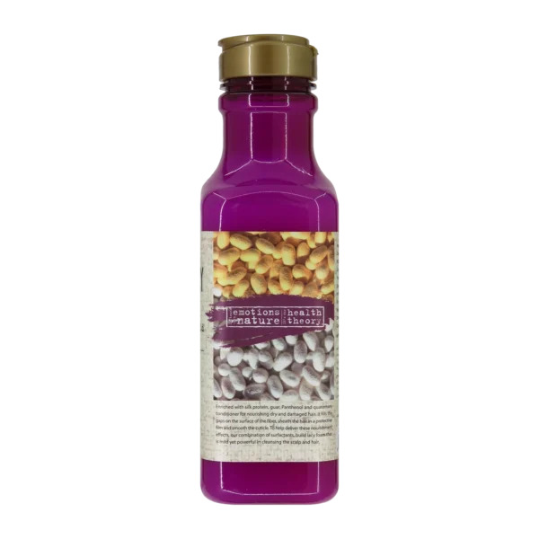 خرید شامپو موی خشک و آسیب دیده حاوی پروتئین ابریشم هلس تئوری